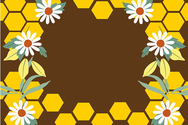 Free flowers honeycomb border illustration