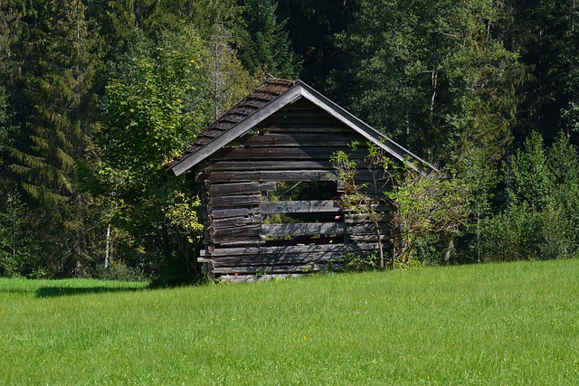 Free Dandruff Meadow photo and picture