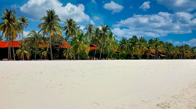 Palm Beach, Droom Strand