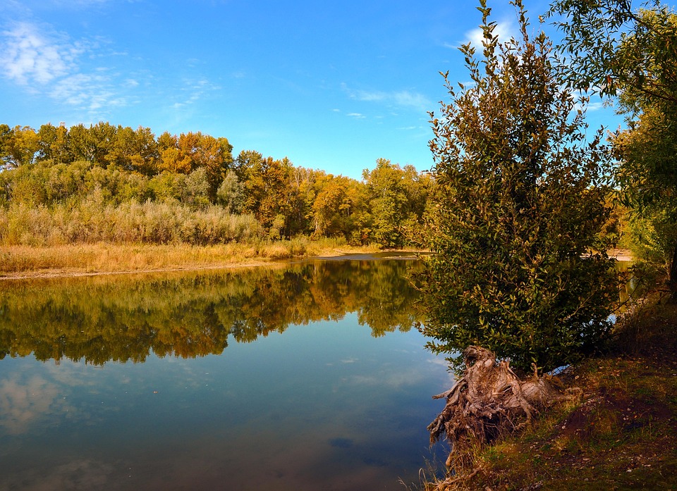 Otoño Paisaje Río - Foto gratis en Pixabay