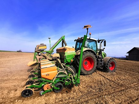 Free Corn Seed Corn photo and picture