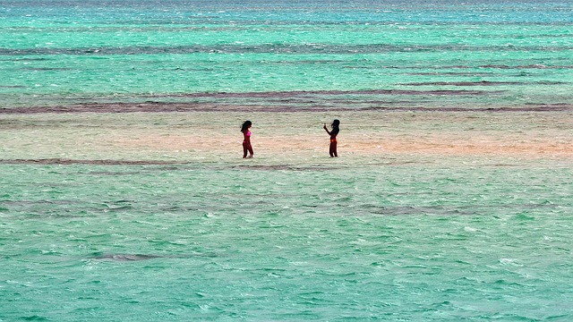 Free Beach Sea photo and picture
