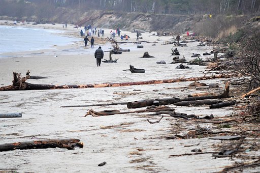 Free Storm Beach After The Storm photo and picture