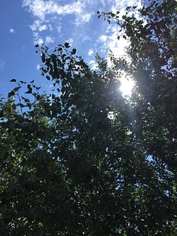 Landschaft, Natur, Himmel