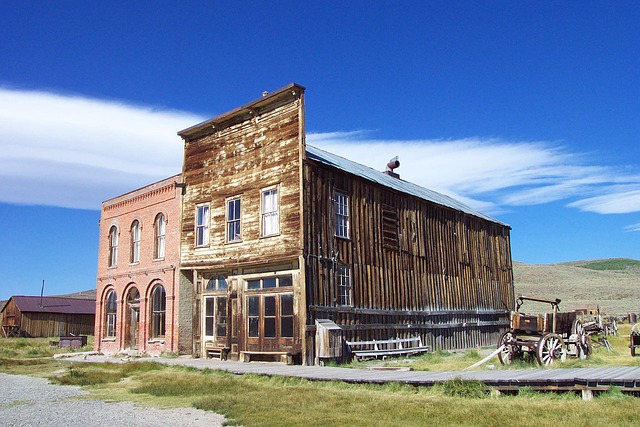 Körper, Bodie State Historic Park