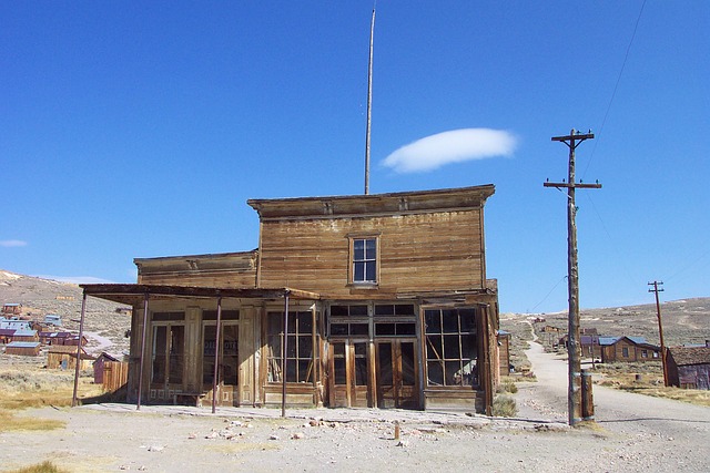 Körper, Bodie State Historic Park