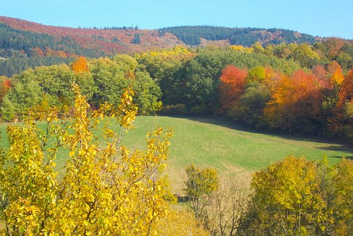 Herfst, Bossen, Heuvels, Natuur, Land