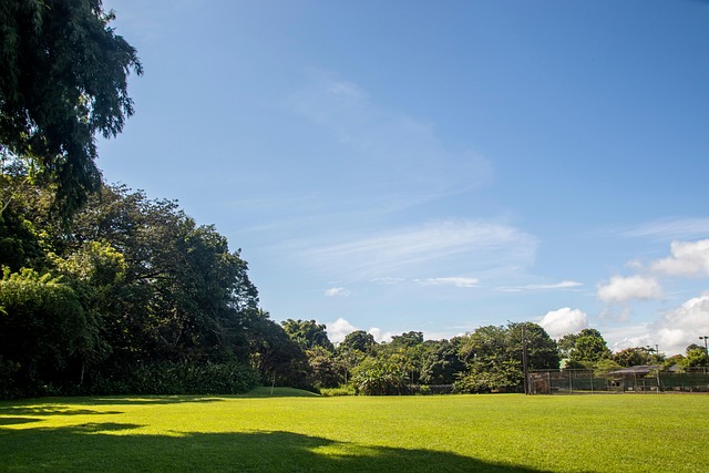 Free Field Darling photo and picture