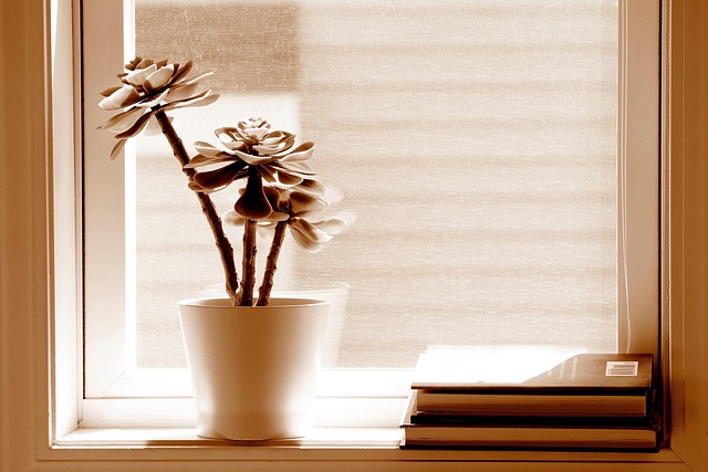 Free Window Books photo and picture
