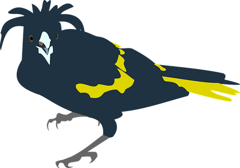 Vogel, Geel, Cacicus, Natuur, Dier