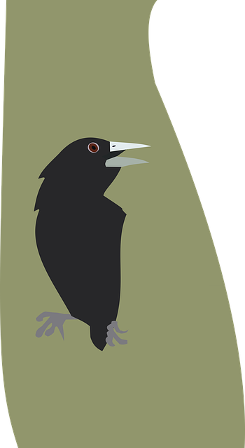 Vogel, Zwarte Vogel, Boom, Cacique