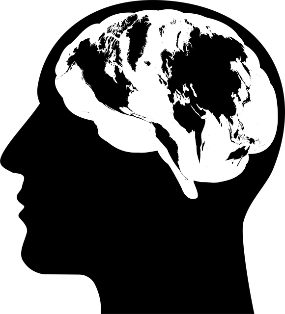 Download free HD stock image of Man Brain Free man brain earth illustration