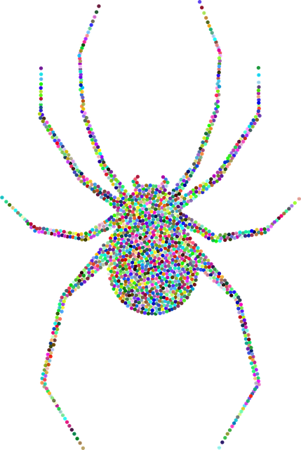 Free Spider Arachnid vector and picture