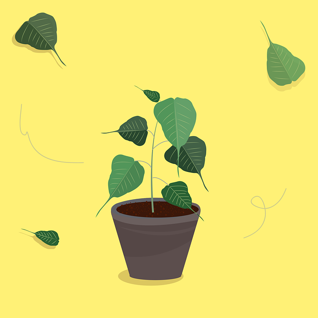 Free leaves plant flowerpot vector