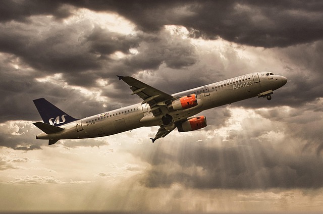 Free Scandinavian Airlines Sas photo and picture