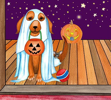 Dia Das Bruxas, Cachorro, Trick Or Treat