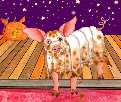 Dia Das Bruxas, Porco, Trick Or Treat