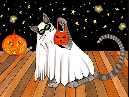 Dia Das Bruxas, Gato, Truque Ou Tratador