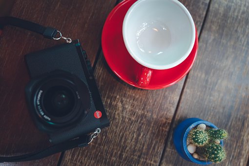 Free Camera Cup photo and picture
