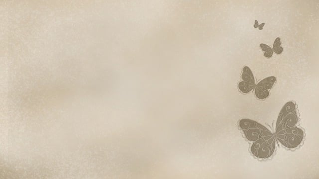 Free butterflies insect background illustration