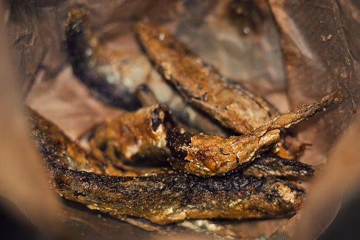Fische, Meer, Gering, Angeln, Tier