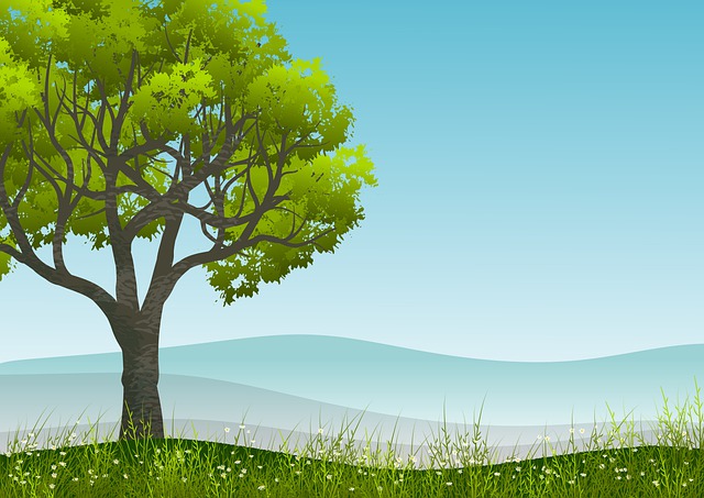 Download free HD stock image of Tree Field Free tree field foliage illustration