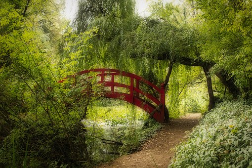 Free Bridge Pasture photo and picture