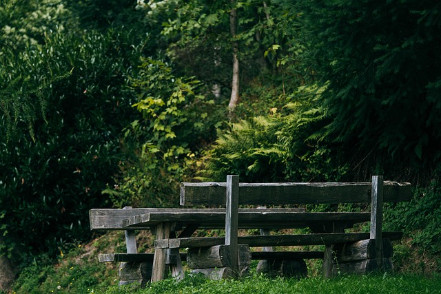 Free Wooden Bench Park Bench photo and picture