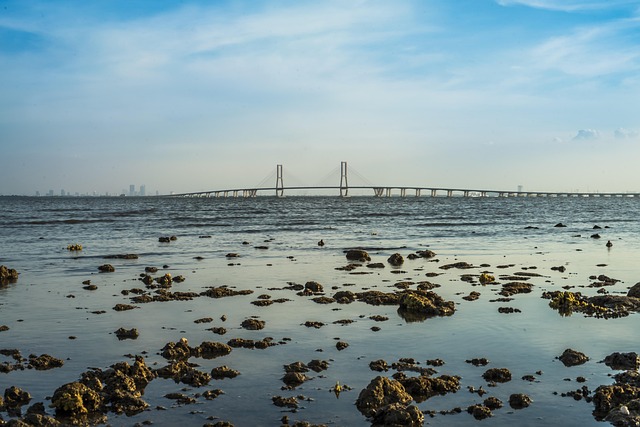 Free Suramadu Bridge photo and picture