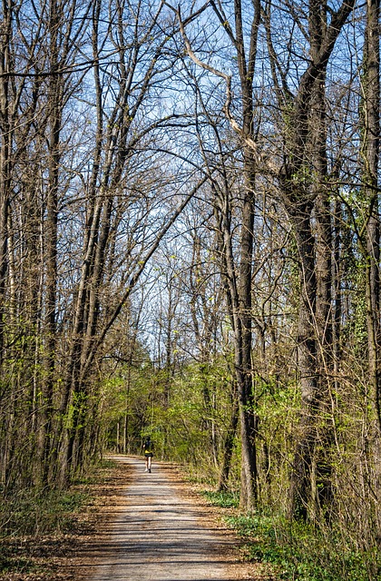 Free Jogging Park photo and picture