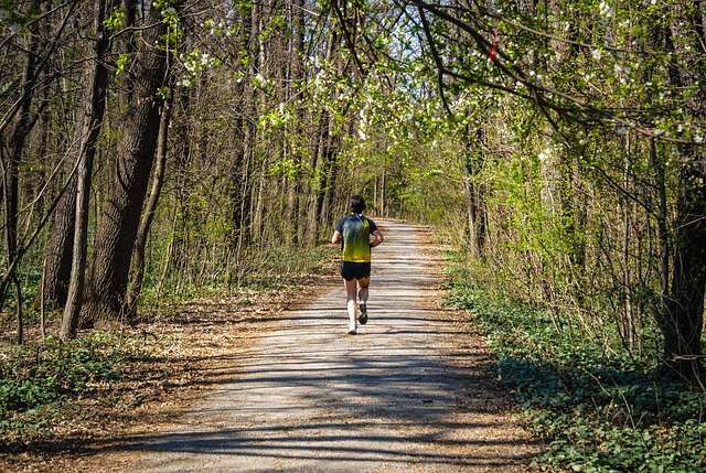 Free Jogging Path photo and picture