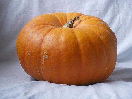 Kürbis, Halloween, Herbst, Orange