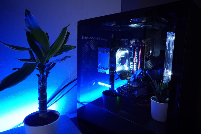 Computador, Néon, Área De Trabalho