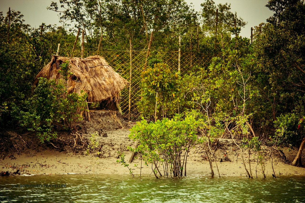 Cabane Forêt Nature - Photo gratuite sur Pixabay - Pixabay