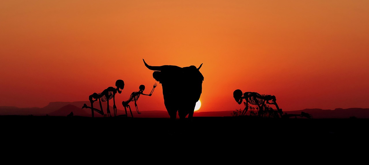 Sunset - free online jigsaw puzzle photo