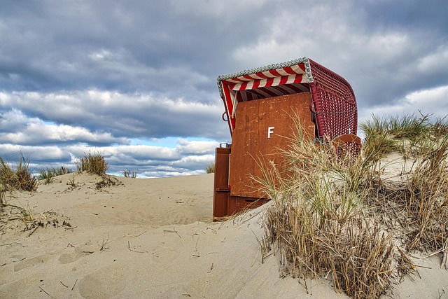 Free Sea Beach photo and picture