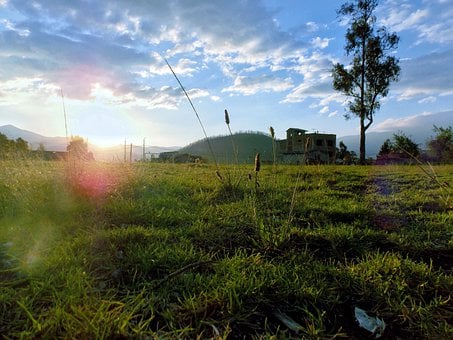 Zonsopkomst, De Lente, Schat, Gras
