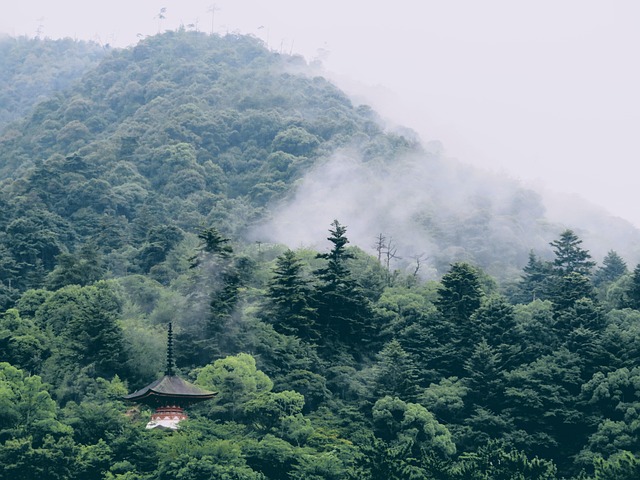 Free Mist Mountain photo and picture