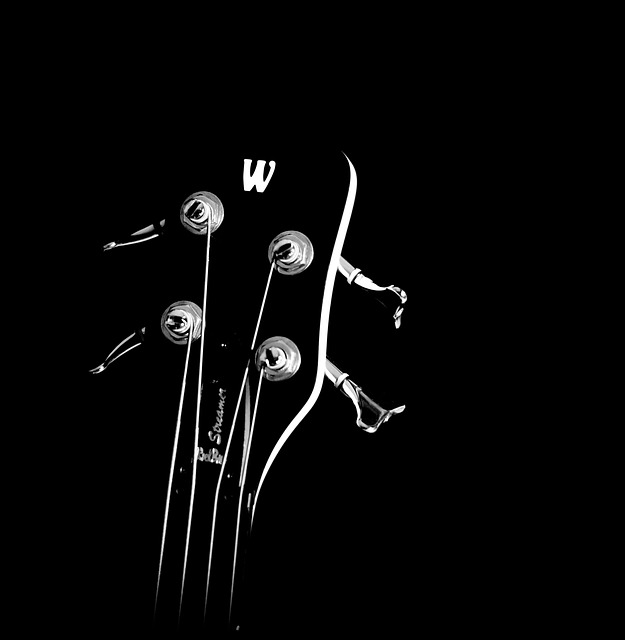 Warwick, Bajo, Guitarra Bajo, Música