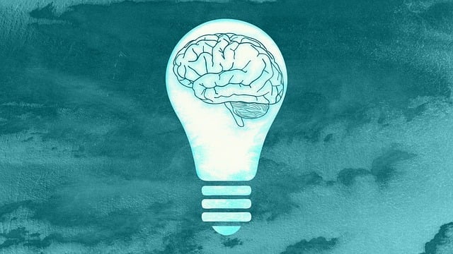 Free light bulb brain mind illustration