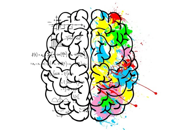 Free brain left logic illustration