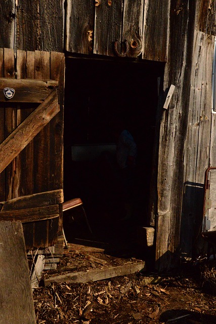 Free Barn Door Wood photo and picture