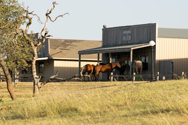 Free Horses Ranch photo and picture