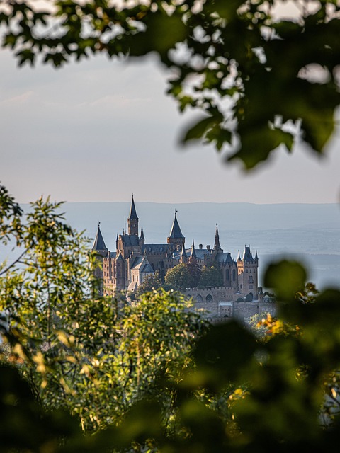 Castle, hilltop, trees and nature — photo by denfran