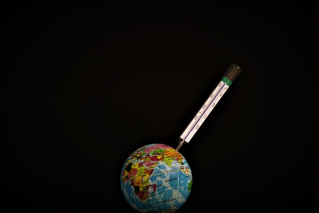 Free Earth Globe photo and picture
