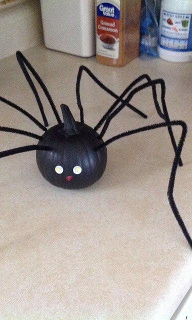 Free Halloween Spider photo and picture