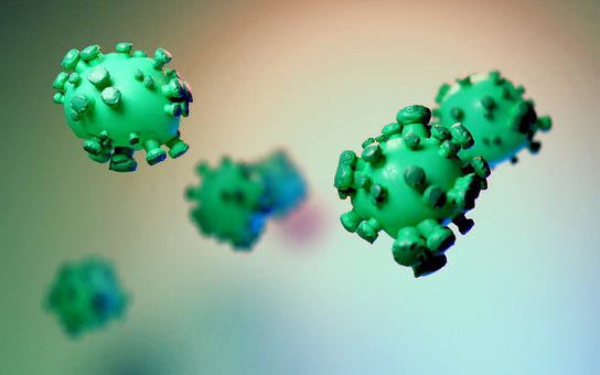 Free Virus Bacteria photo and picture