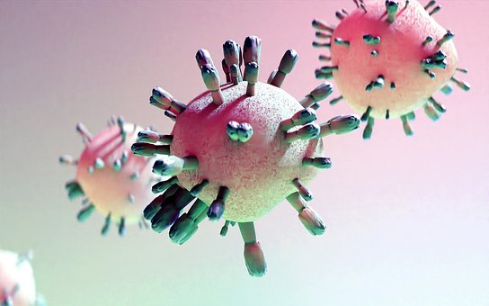 Free Virus Bacteria photo and picture