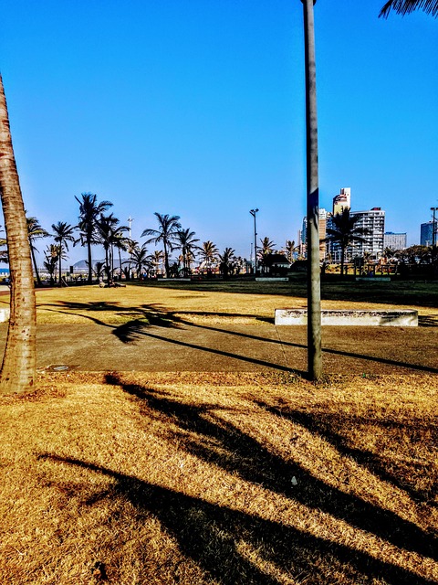 Free Sunshine At photo and picture