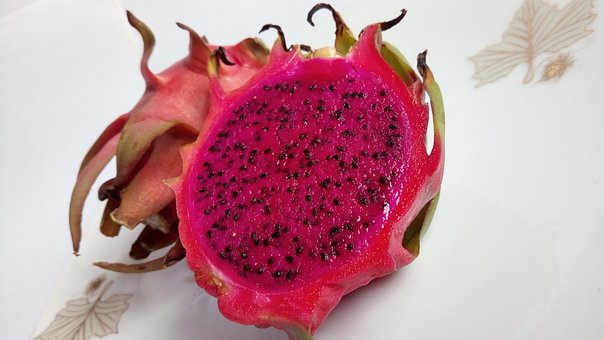 Free Dragon Fruit Pink photo and picture
